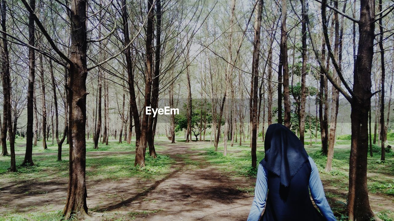 Rear view of woman walking amidst trees in forest