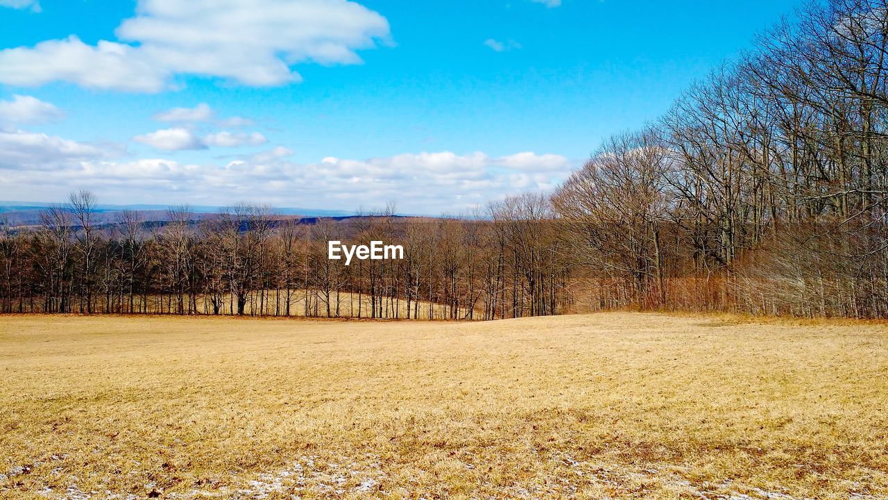 PANORAMIC SHOT OF FIELD AGAINST SKY