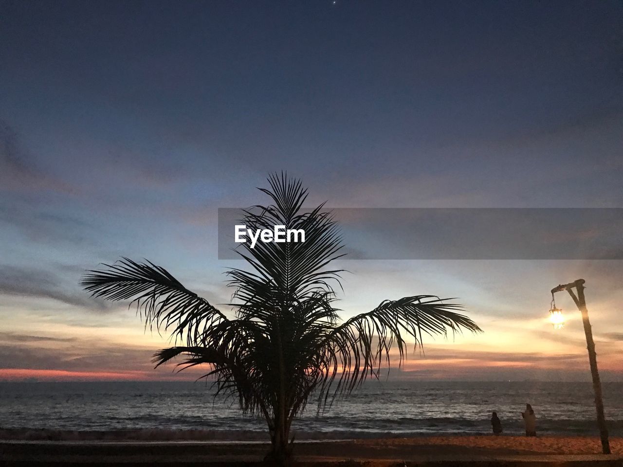 Silhouette palm tree on beach against sky during sunset