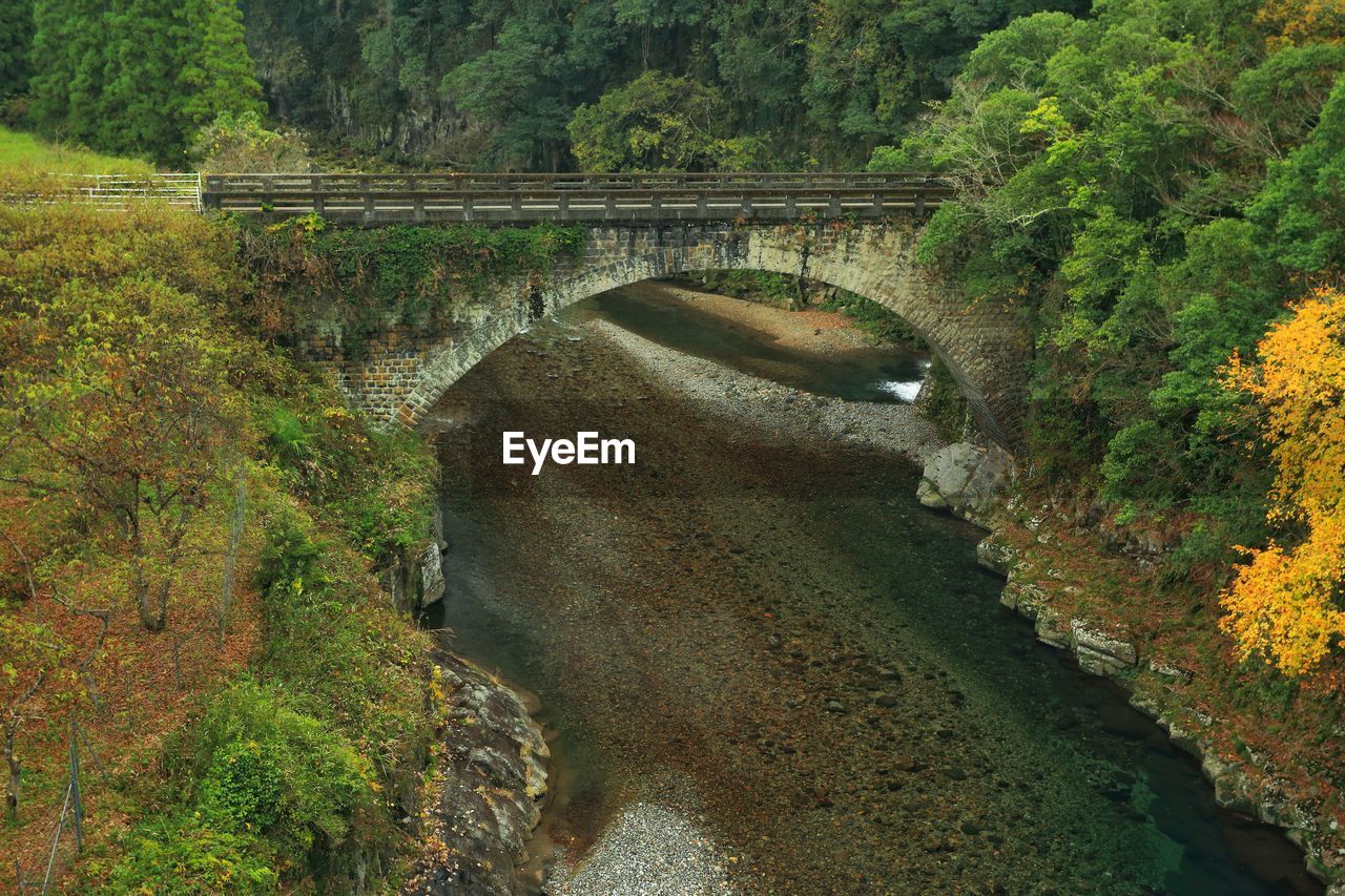 Arch bridge over river in forest