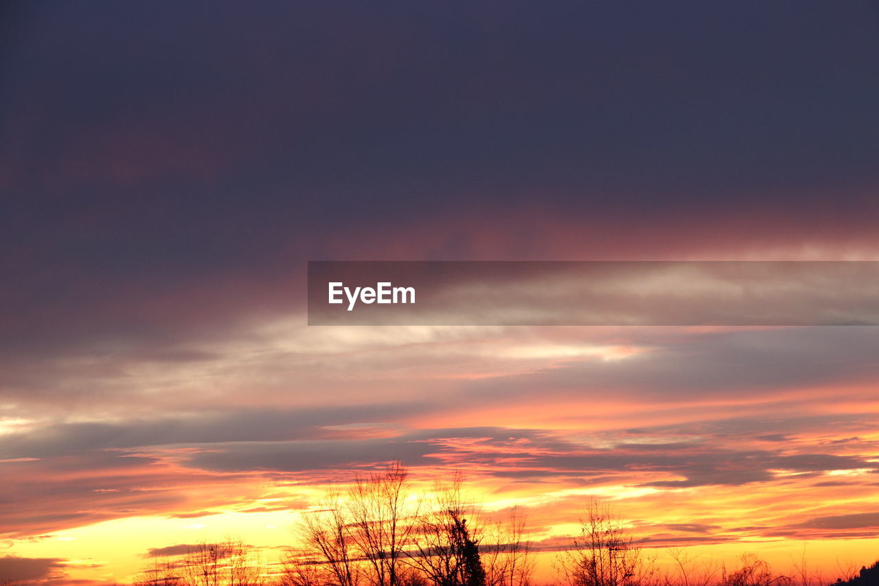 LOW ANGLE VIEW OF SILHOUETTE TREES AGAINST SKY DURING SUNSET