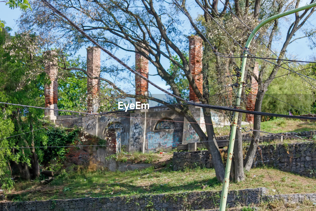 tree, plant, architecture, built structure, nature, no people, day, growth, sky, abandoned, building exterior, land, outdoors, building, damaged, green, branch, old, bare tree, fence, tranquility, sunlight, history, rundown