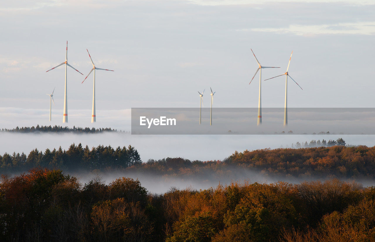 Windmills forest  fog, transformation sustainable energy, electricity generator, environment issue