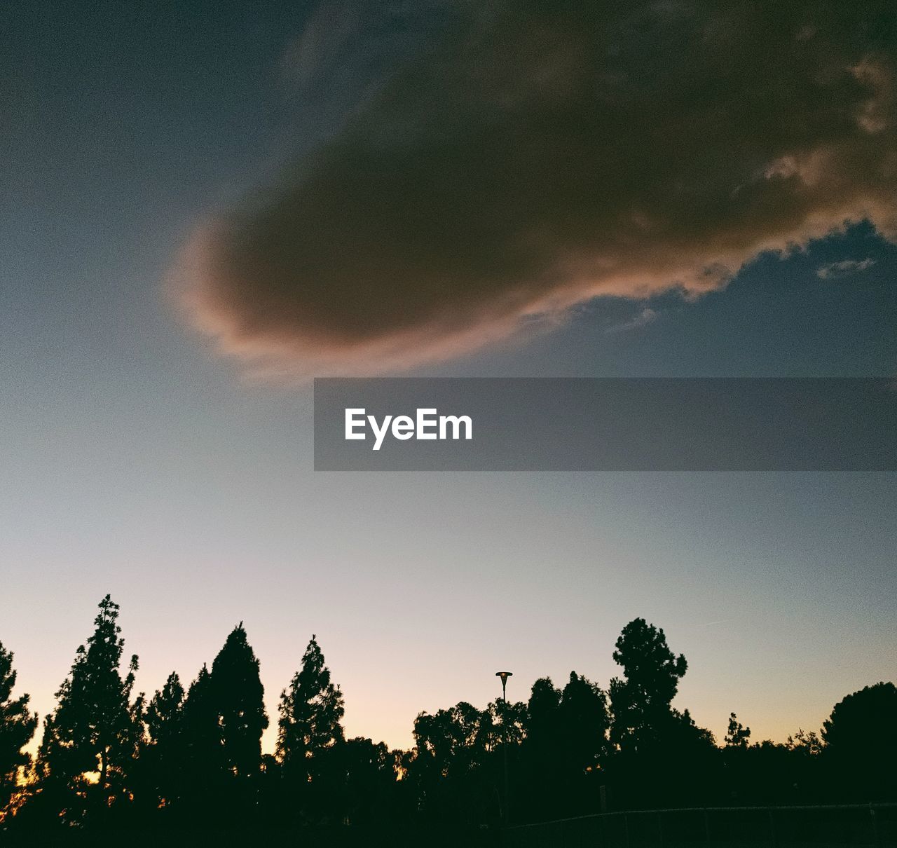 sky, tree, cloud, plant, beauty in nature, silhouette, nature, dawn, scenics - nature, sunset, darkness, tranquility, evening, sunlight, no people, horizon, environment, tranquil scene, landscape, outdoors, land, non-urban scene, dramatic sky, light, idyllic