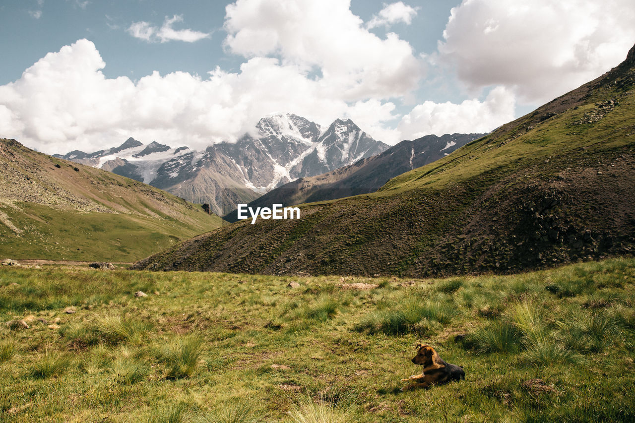 Scenic view of landscape against sky