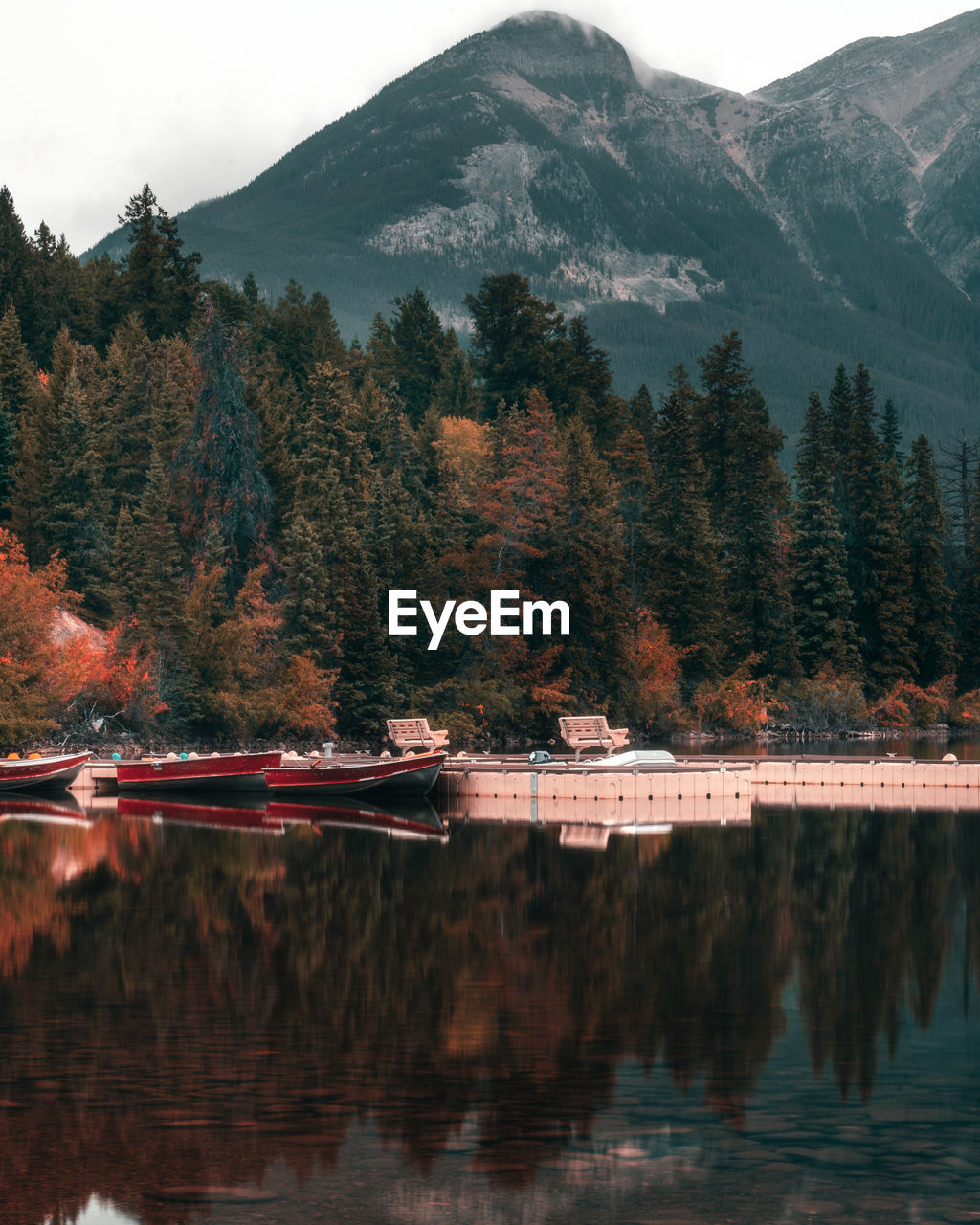 Scenic view of lake by trees during autumn