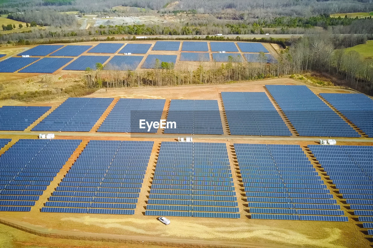 LOW ANGLE VIEW OF PLANTS ON FIELD