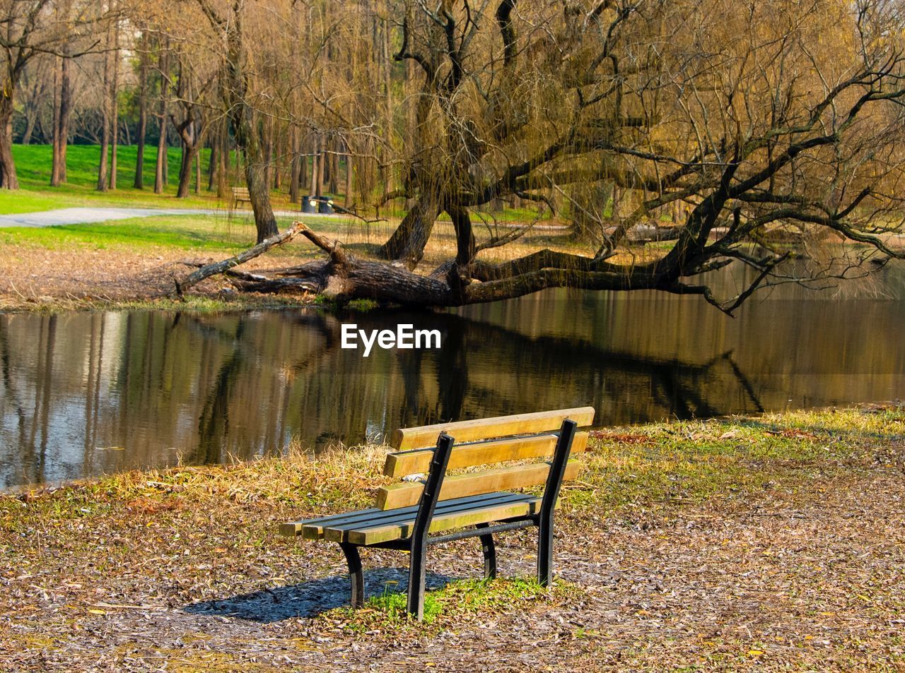 Empty bench in park by lake during autumn