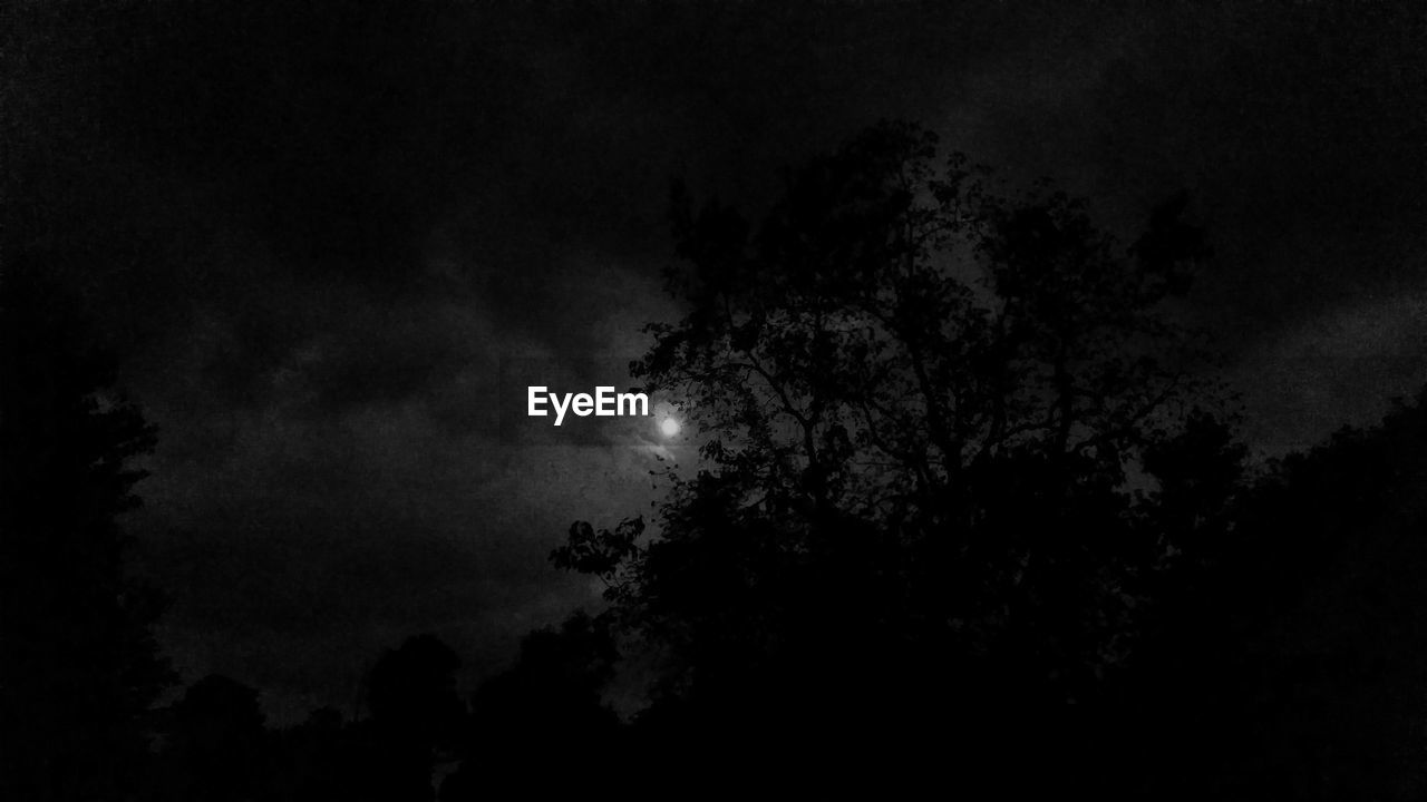 LOW ANGLE VIEW OF SILHOUETTE TREES AGAINST MOON AT NIGHT