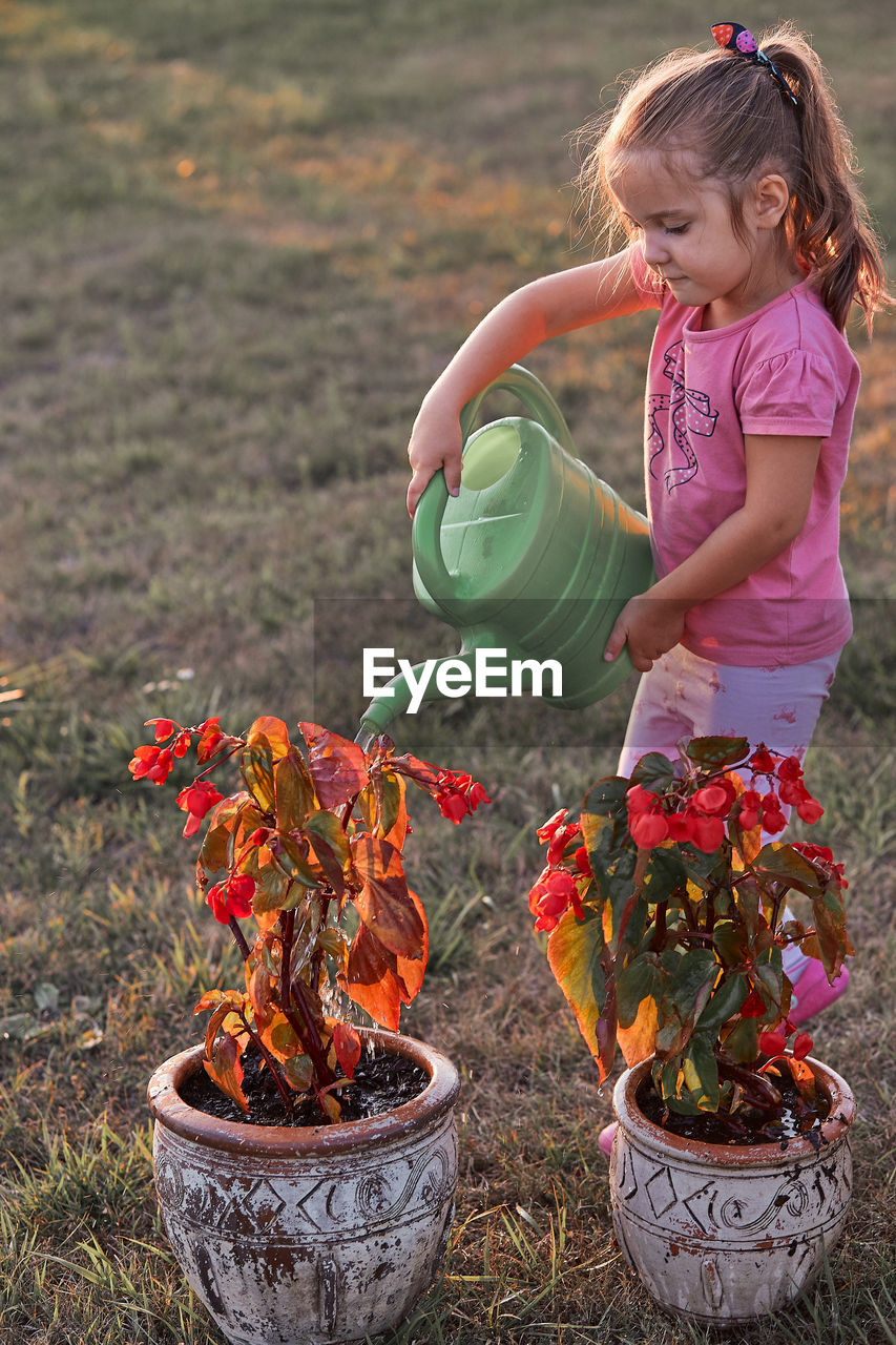 Girl watering plants while standing on grass against trees during sunset