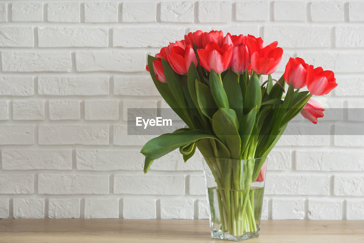 CLOSE-UP OF RED TULIP FLOWER VASE AGAINST WALL