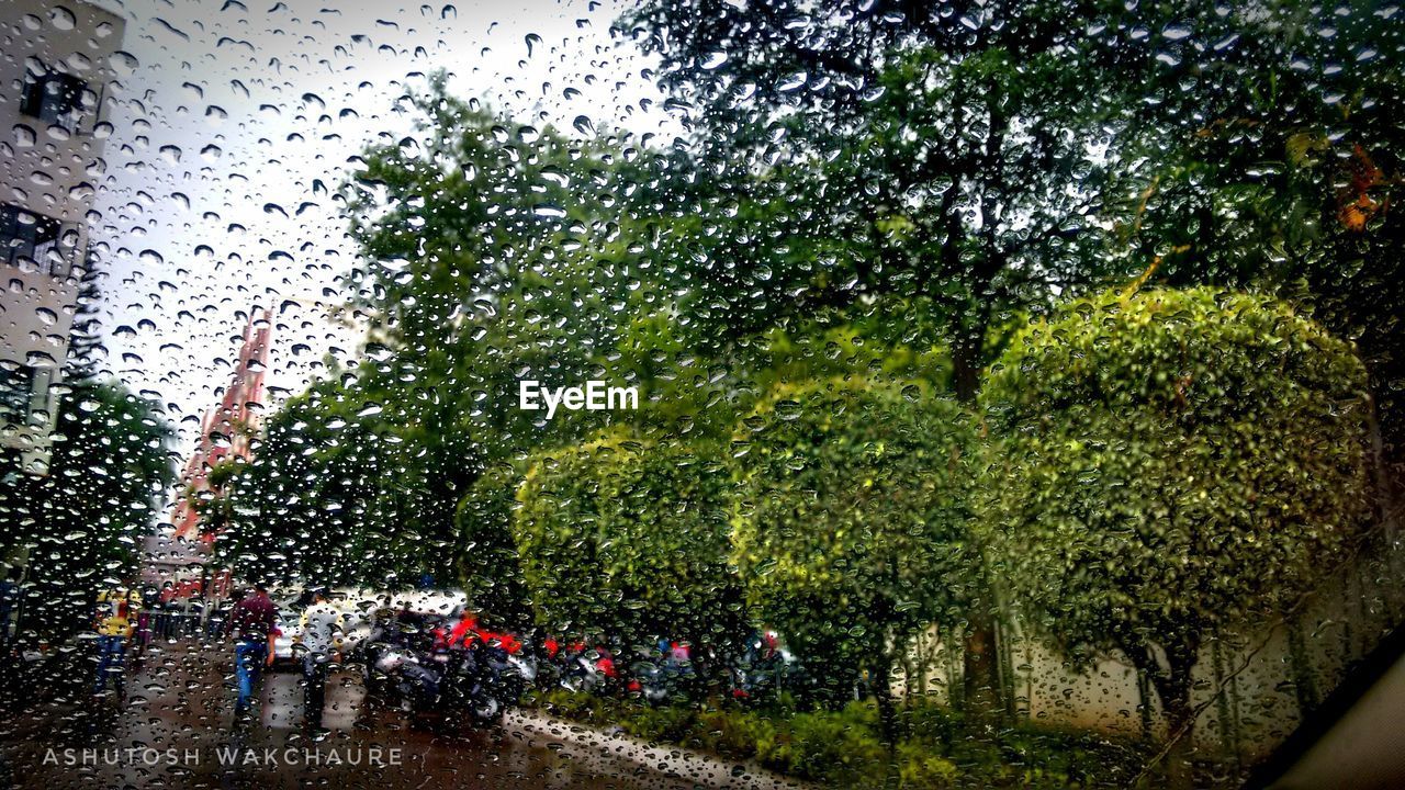 TREES AND SKY SEEN THROUGH WET GLASS