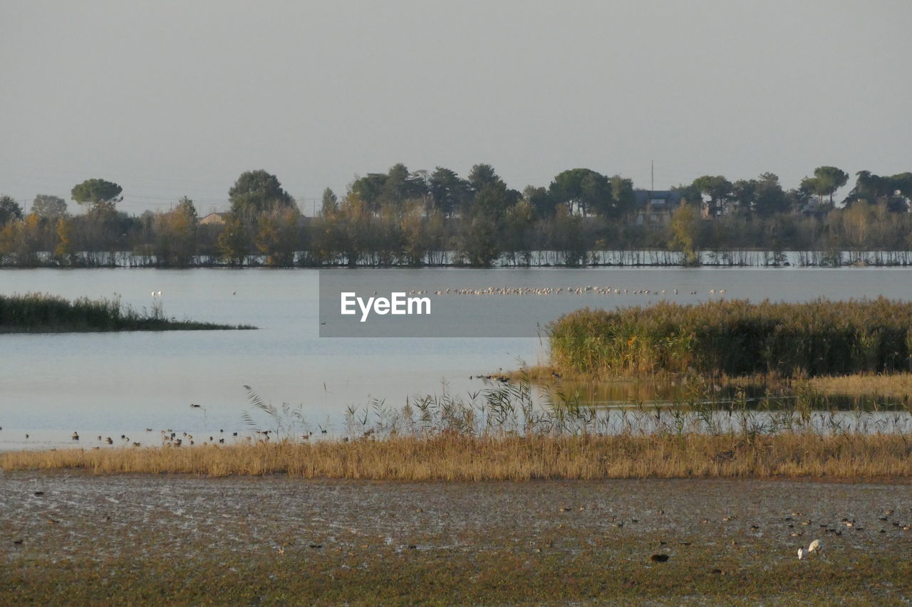 VIEW OF LAKE AGAINST CLEAR SKY