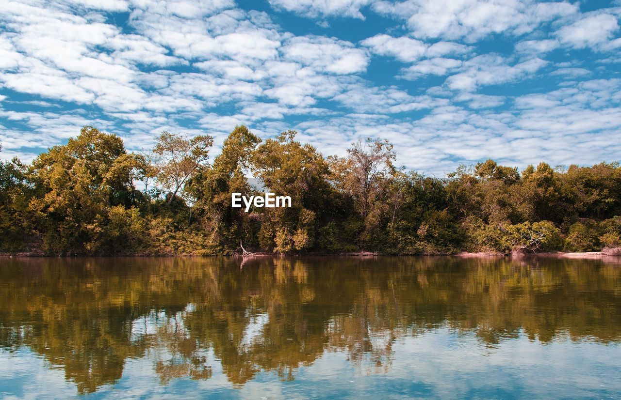 Scenic view of lake by trees against sky