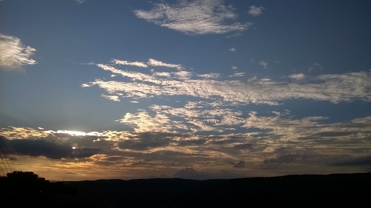 SILHOUETTE OF TREES AGAINST SKY