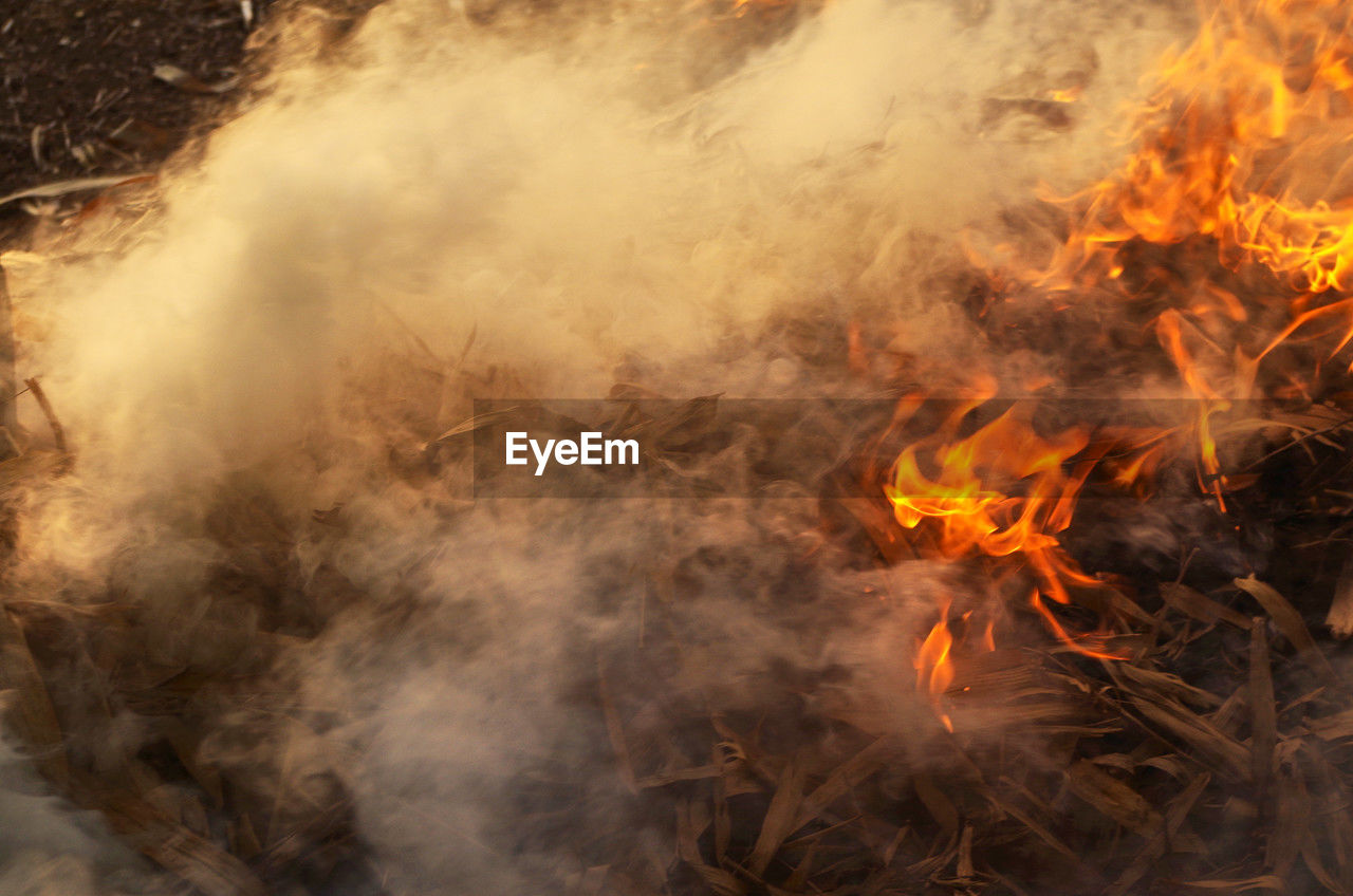 burning, fire, smoke, heat, flame, nature, no people, environment, land, wildfire, motion, forest, outdoors, orange color