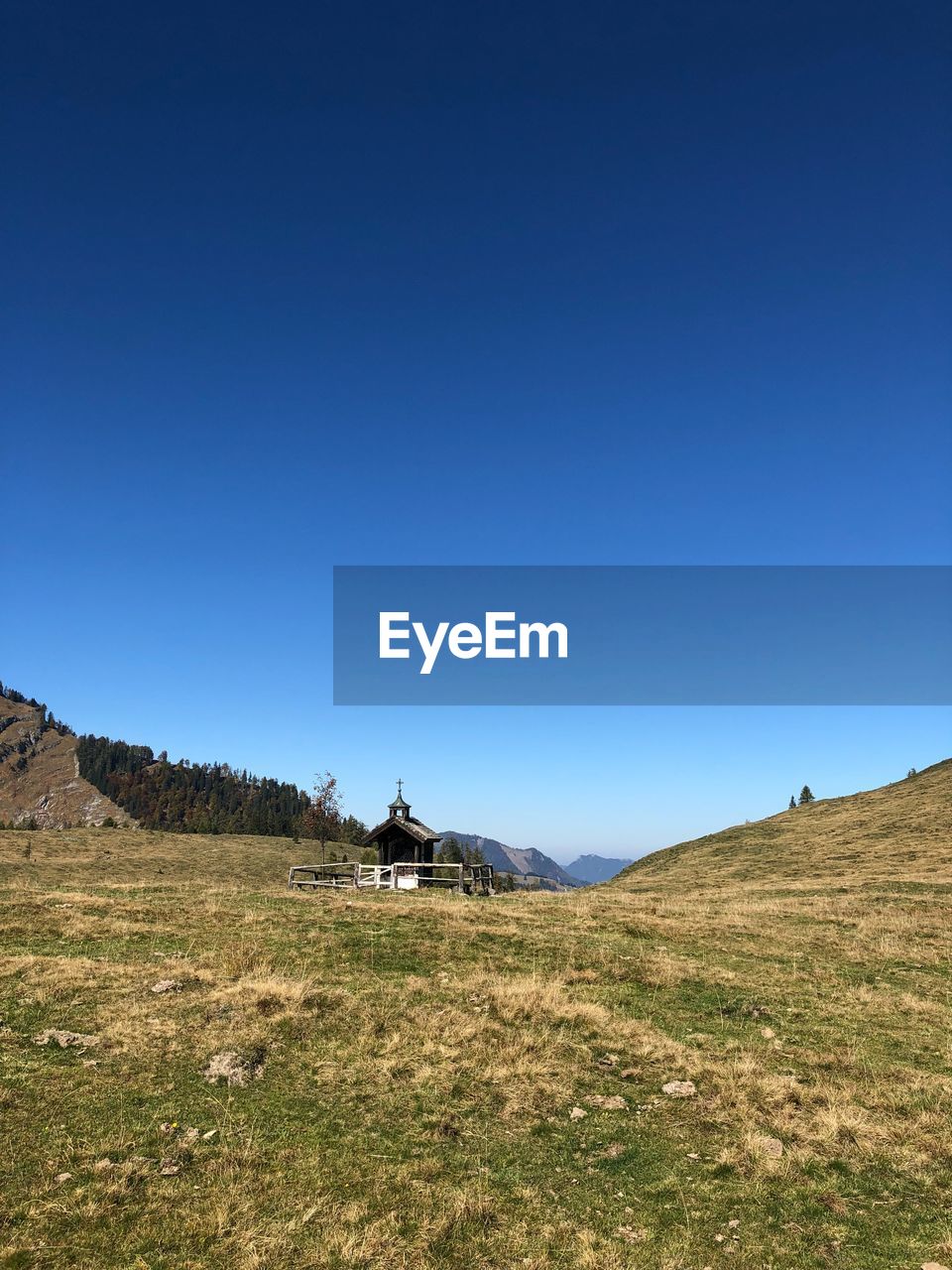 Scenic view of field against clear blue sky