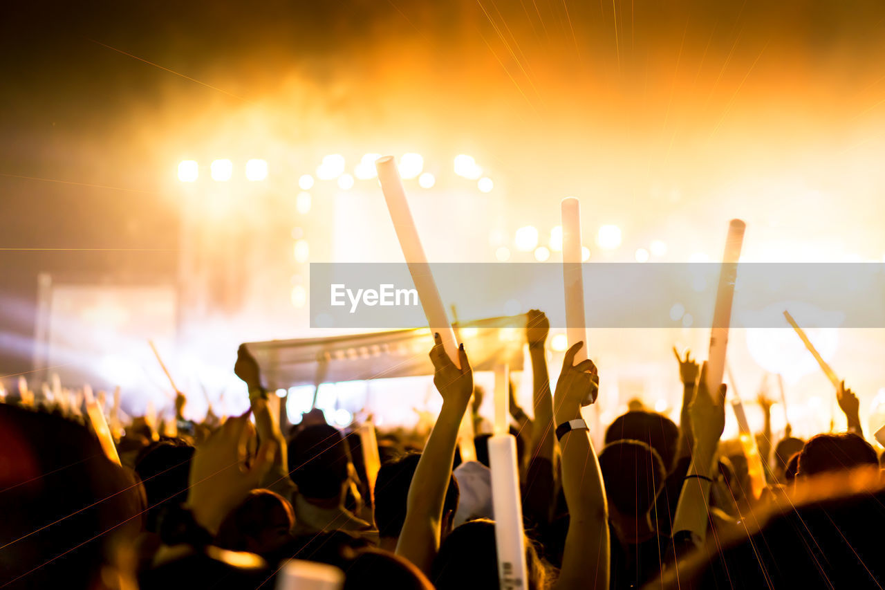 Rear view of people enjoying at music concert