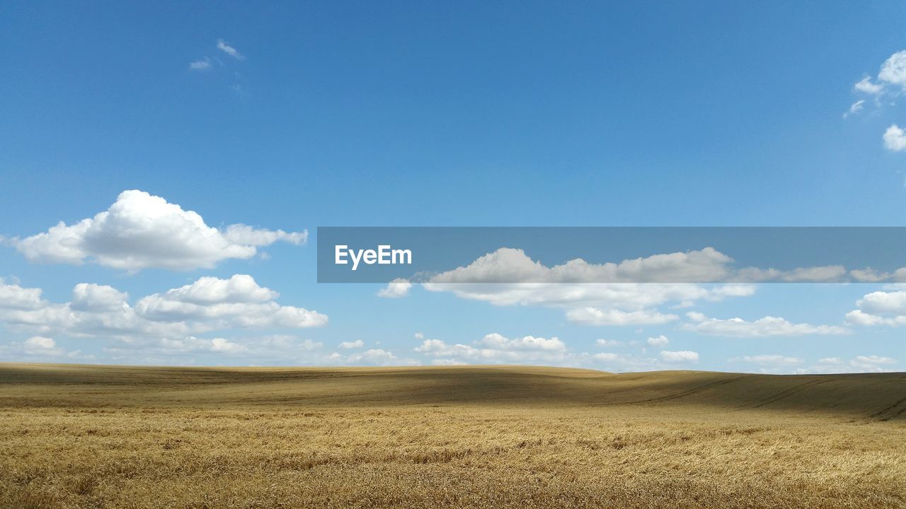 Scenic view of grassy landscape against sky