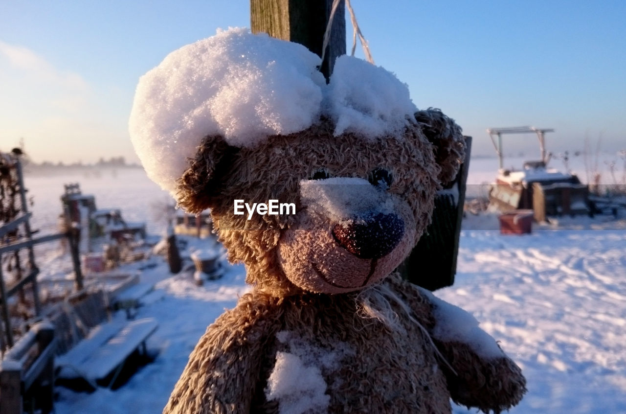 Close-up of teddy bear on snow covered landscape