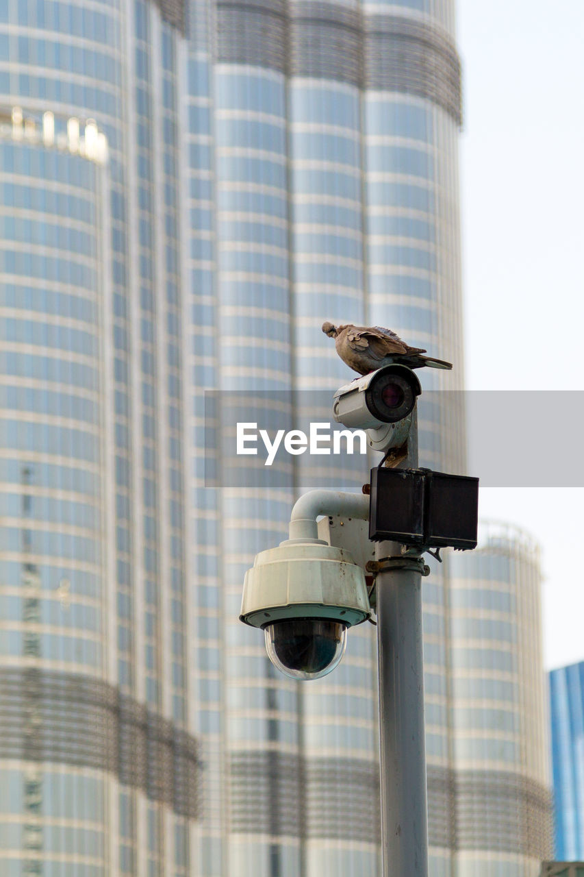 Bird perching on surveillance camera on street against building