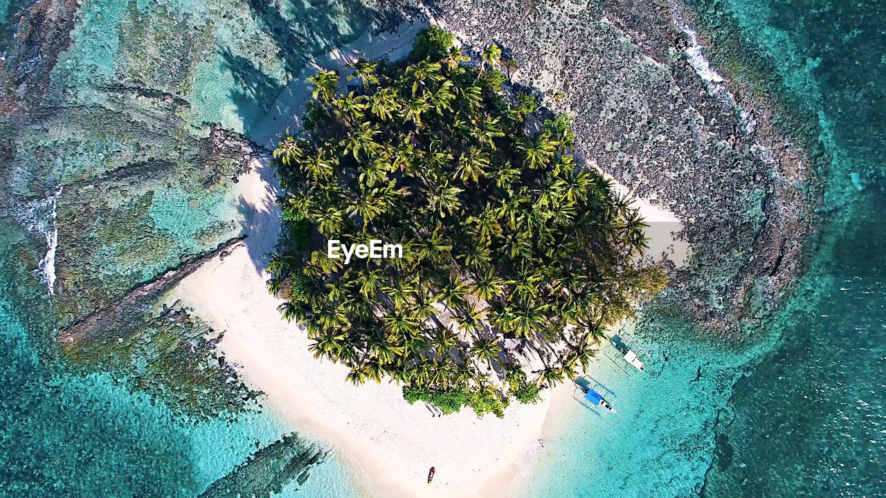 High angle view of trees amidst sea