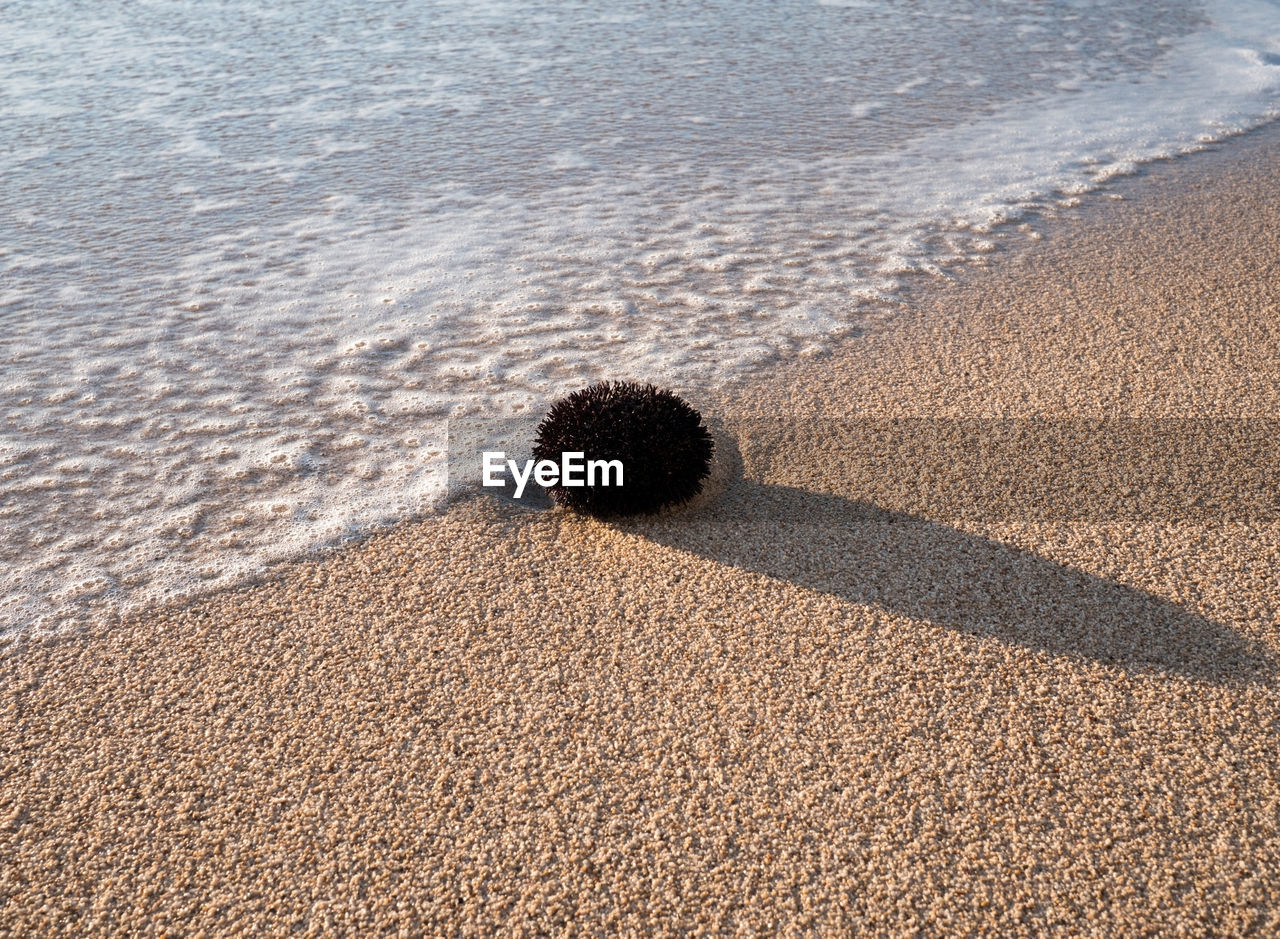 HIGH ANGLE VIEW OF WET SAND ON BEACH