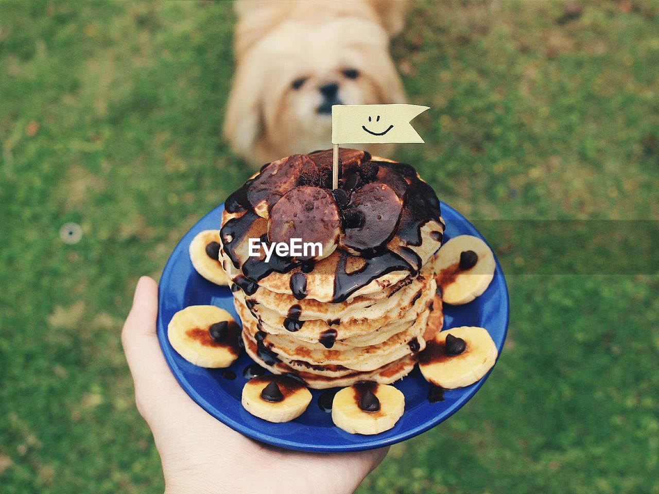 Cropped image of person holding fresh chocolate sauce on banana pancake in plate