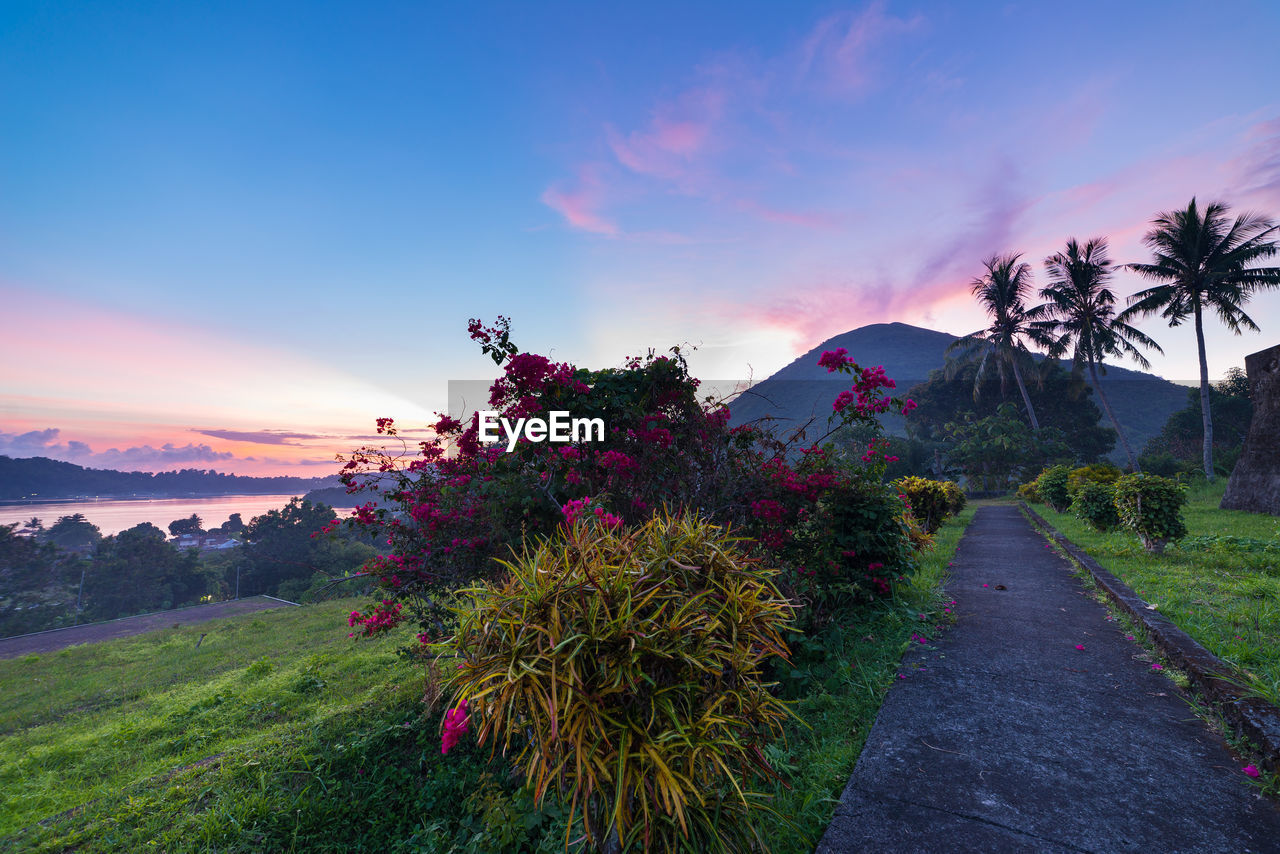 SCENIC VIEW OF GRASSY LANDSCAPE AGAINST SKY AT SUNSET