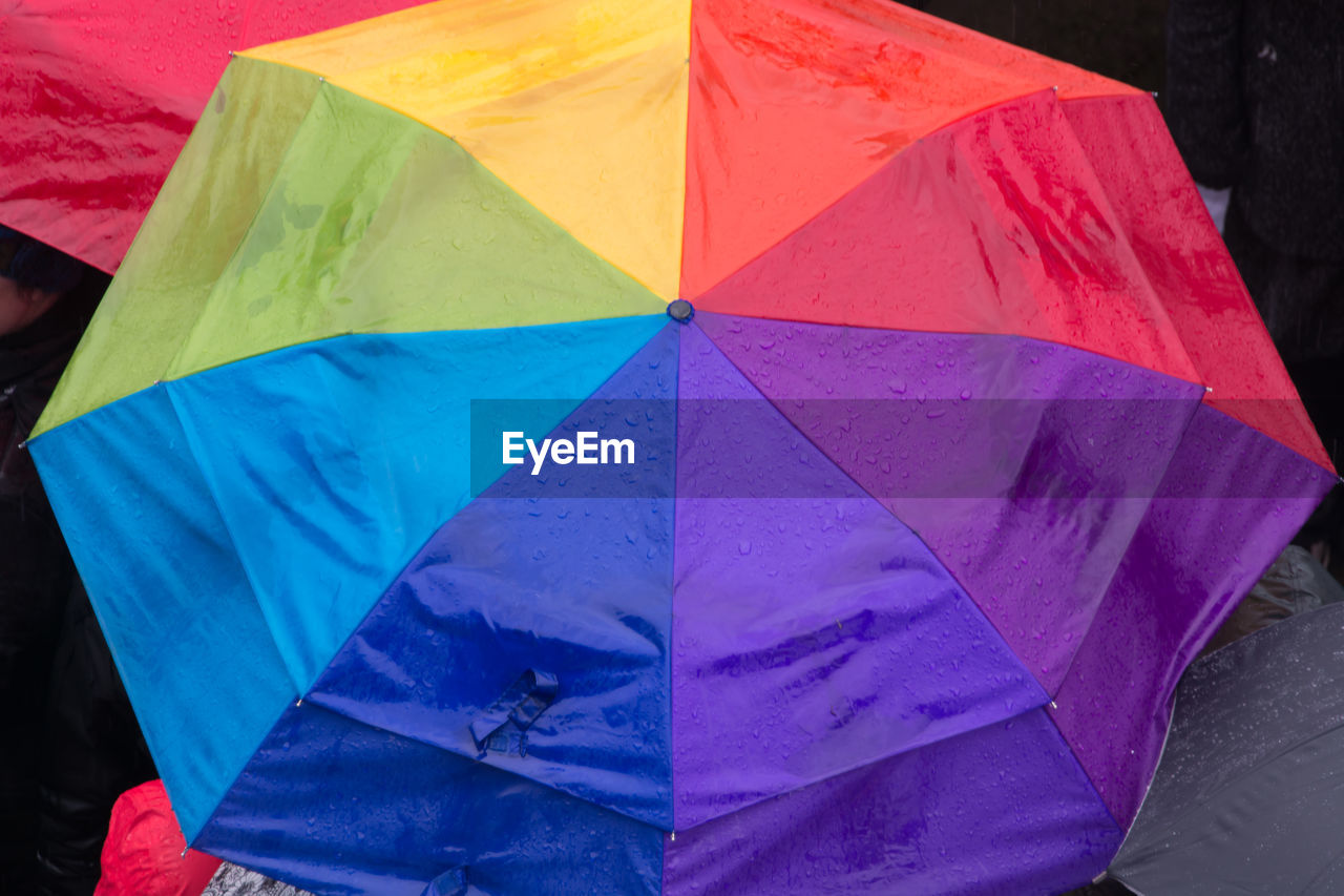 Close-up of colorful umbrella during rainy season