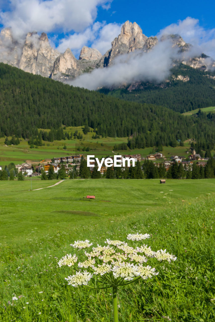 Scenic view of grassy field against cloudy sky