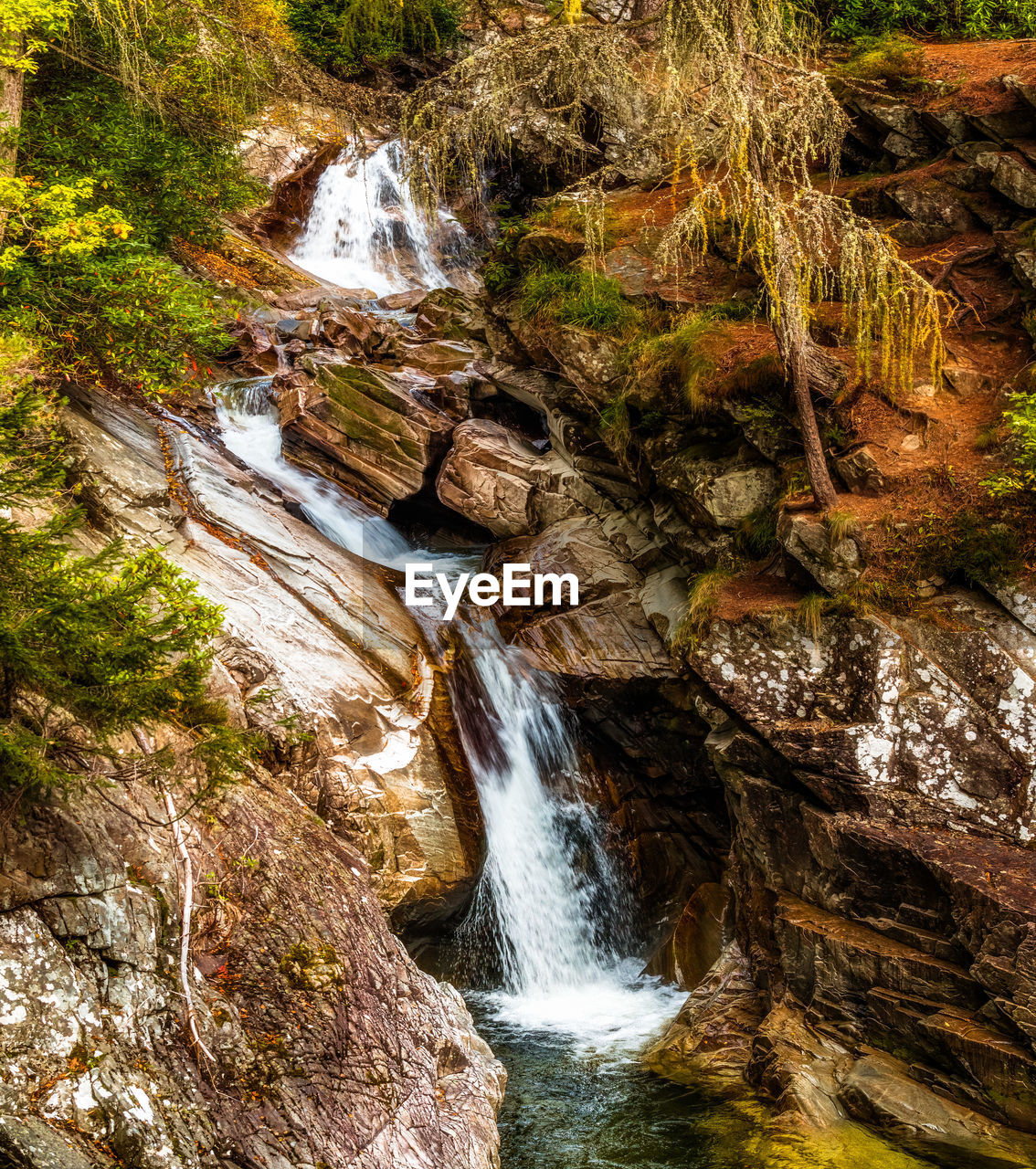 RIVER FLOWING IN FOREST