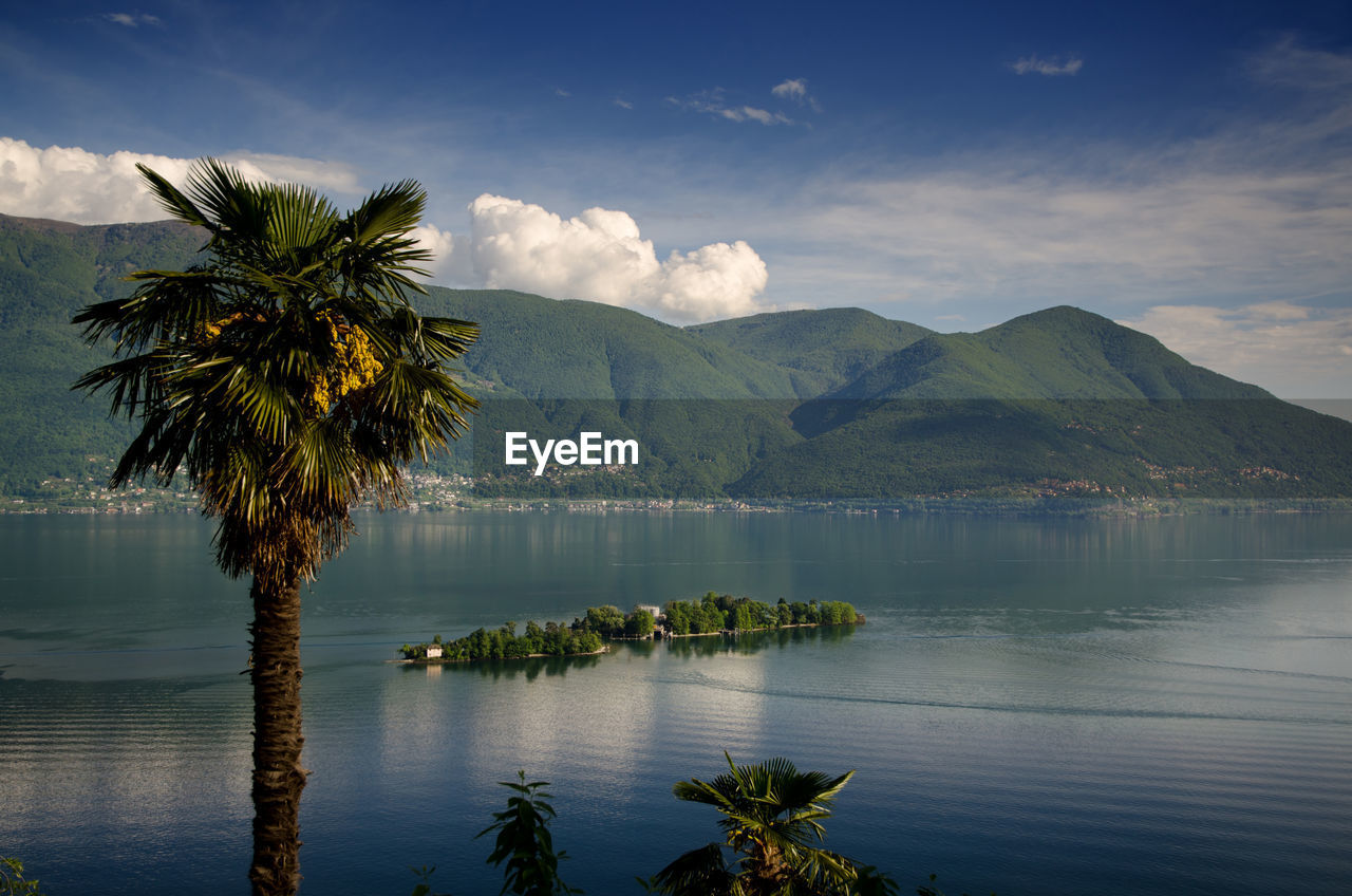 Idyllic view of island and palm tree on lake