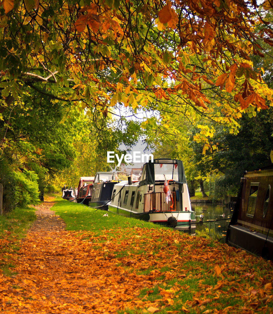 Boats moored in bridgewater canal by trees during autumn