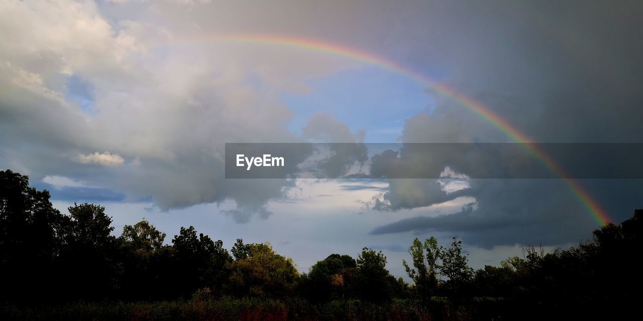 LOW ANGLE VIEW OF RAINBOW OVER TREES AND PLANTS