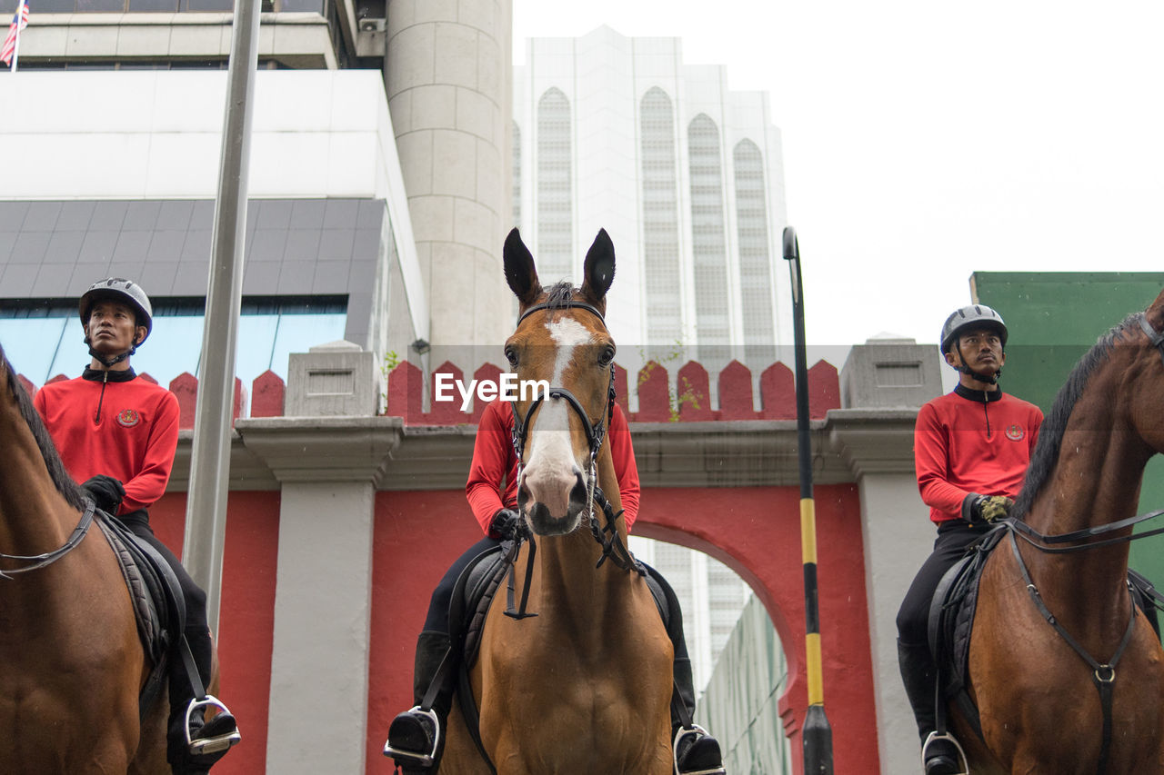 GROUP OF PEOPLE RIDING HORSES