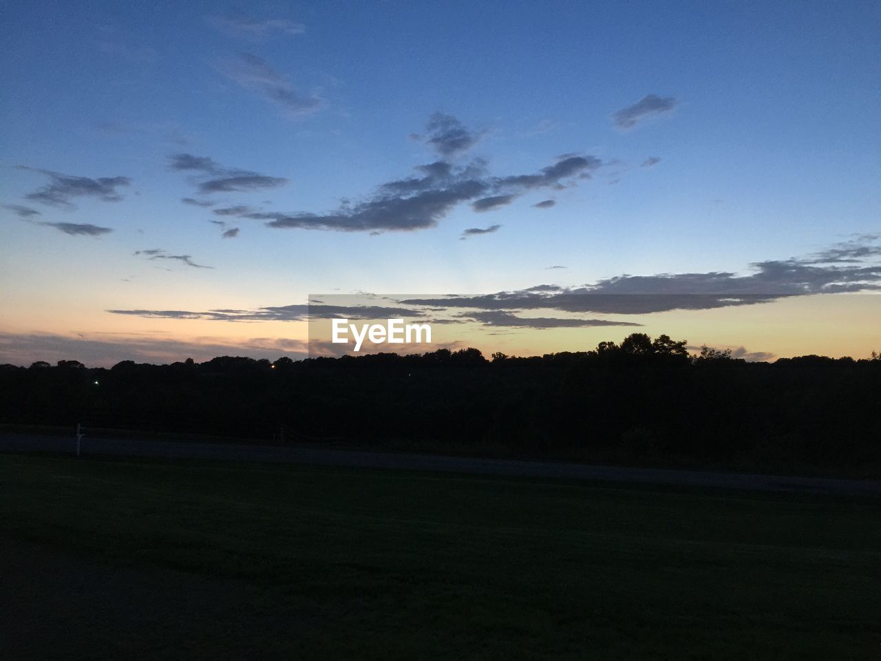 Silhouette of trees against sky