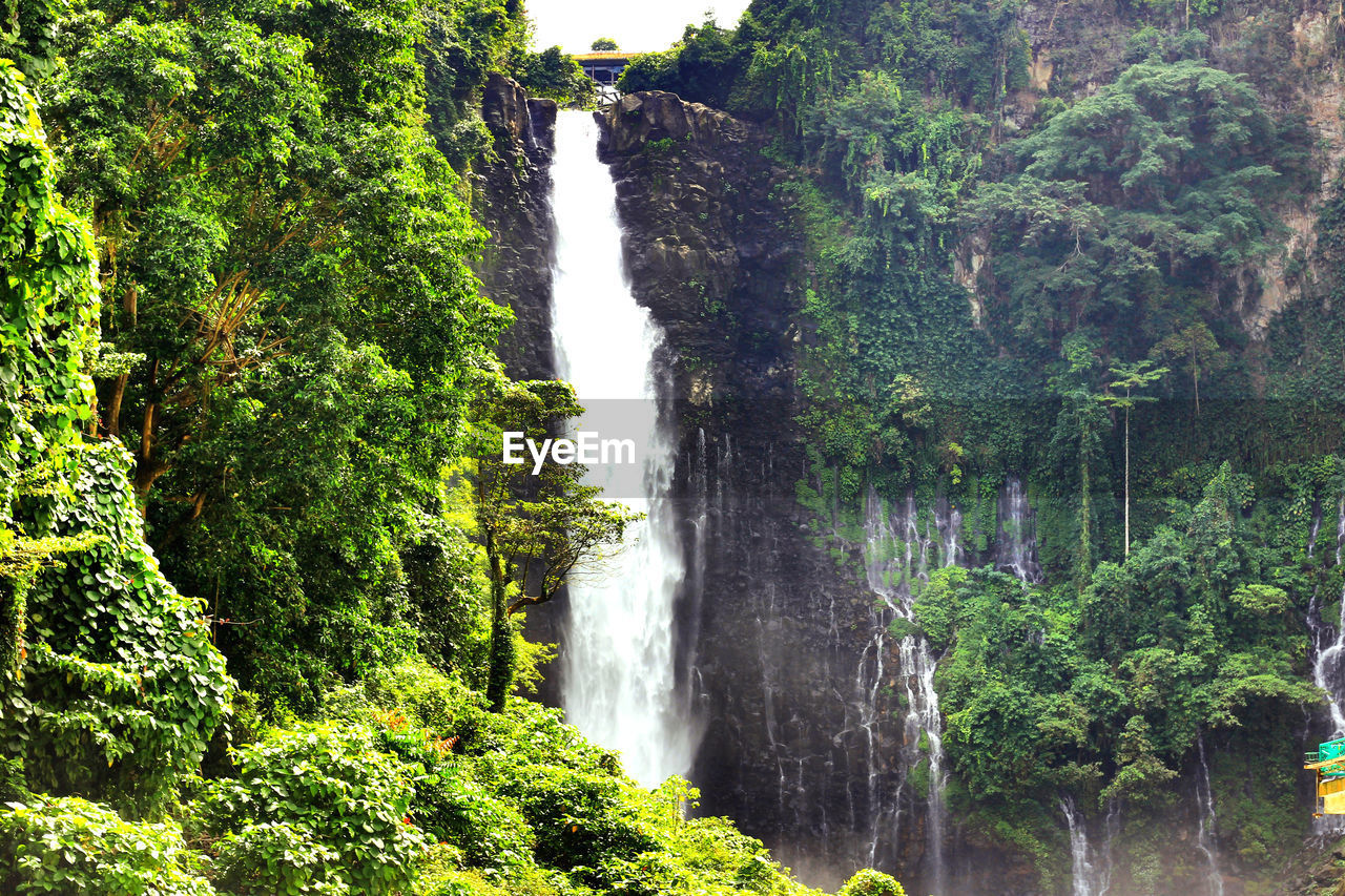 SCENIC VIEW OF WATERFALL