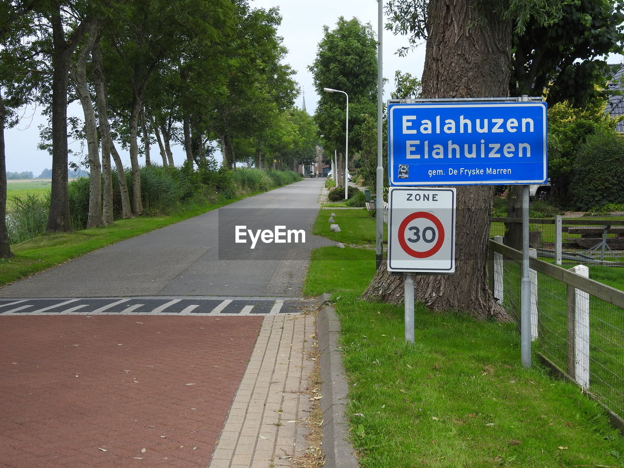 Information sign on road by trees