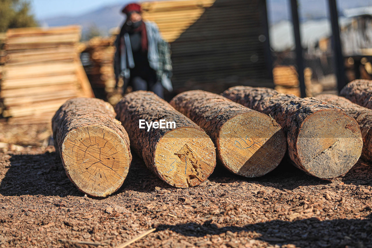 wood, lumber, soil, timber, logging, log, lumber industry, nature, firewood, sunlight, deforestation, day, tree, large group of objects, power generation, agriculture, outdoors, environmental issues, sky, heap, architecture, focus on foreground, abundance, industry, business finance and industry, forest, fossil fuel, occupation, land