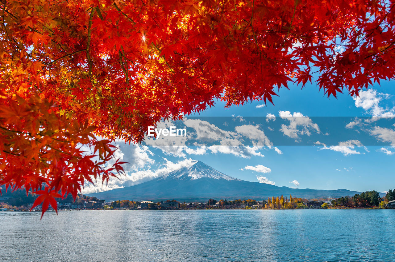 Scenic view of lake by trees against sky during autumn