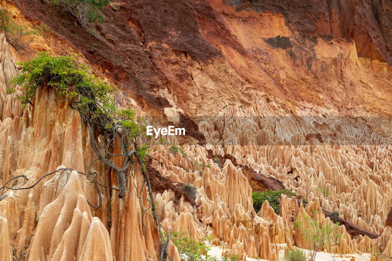 Red sandstone formations and needles  in tsingy rouge park in madagascar, africa