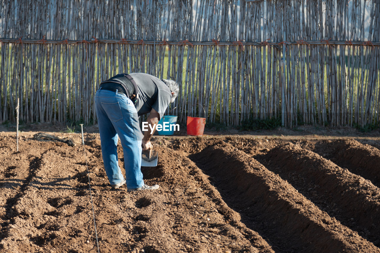 Man working in farm