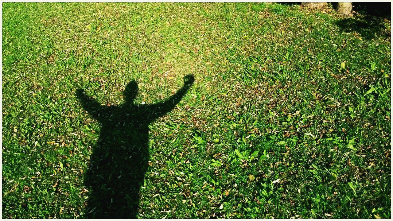 Shadow of man on grass field