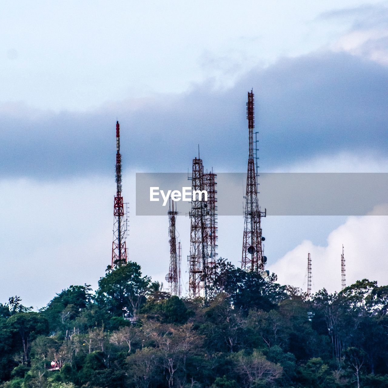 LOW ANGLE VIEW OF COMMUNICATIONS TOWER AND TREES AGAINST SKY