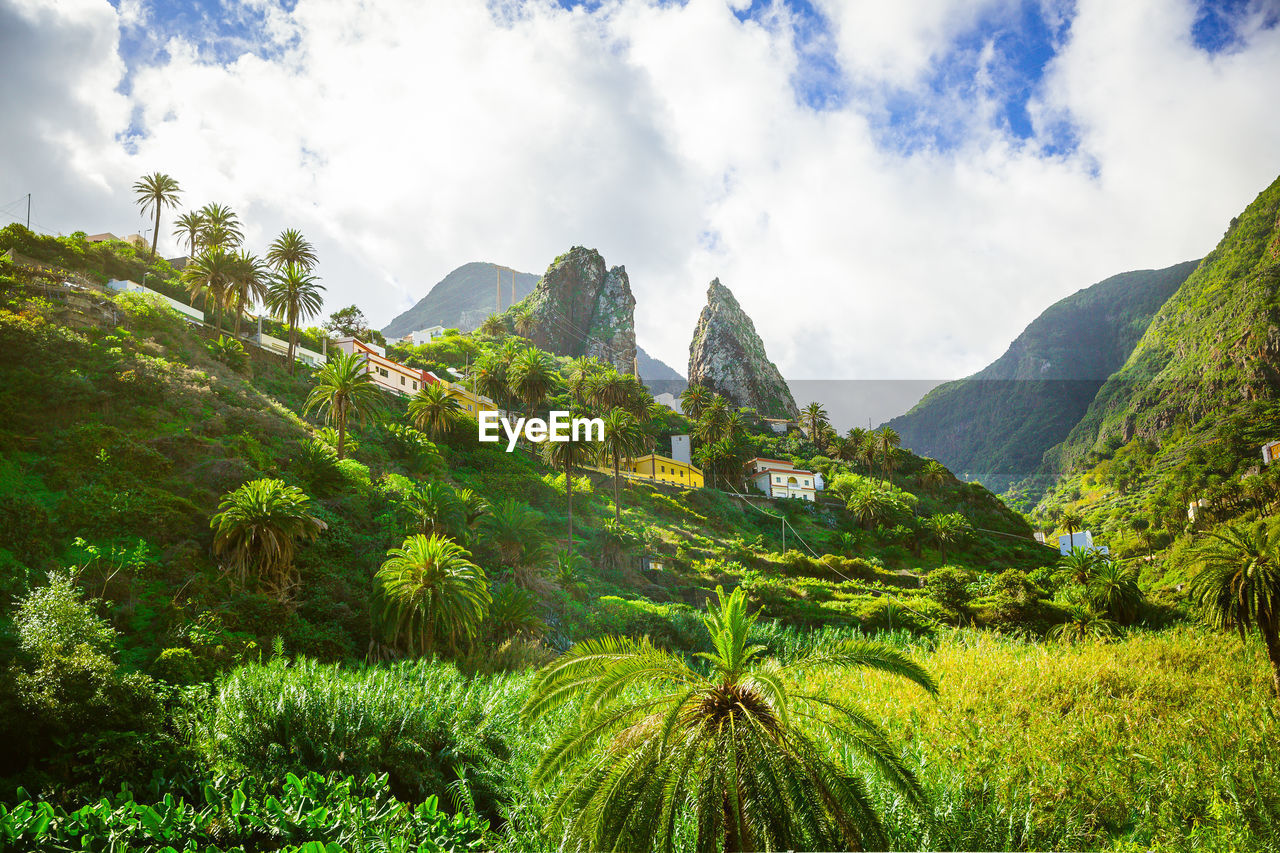 Panoramic view of agricultural field against sky