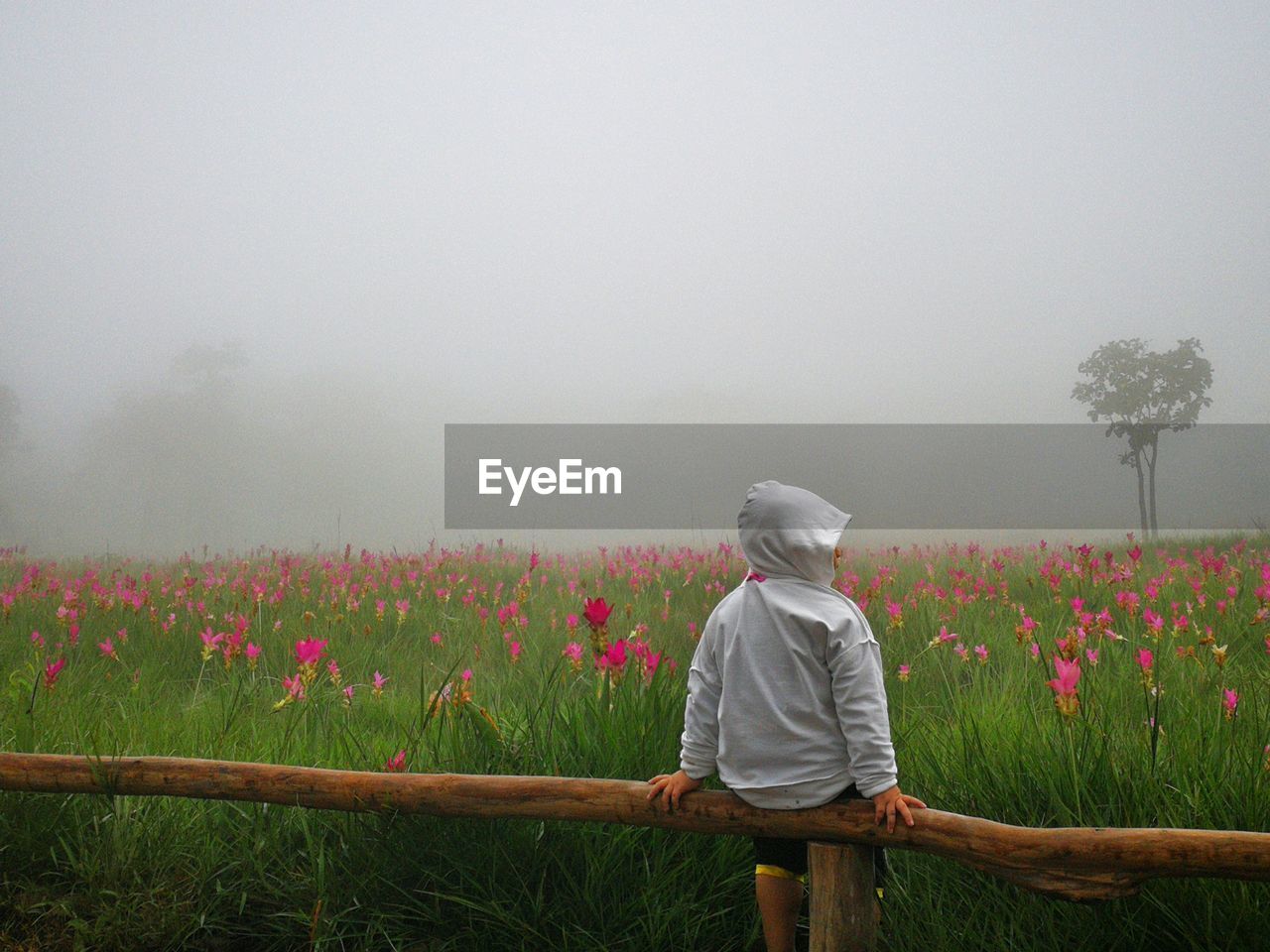 Rear view of person sitting on fence at field against sky