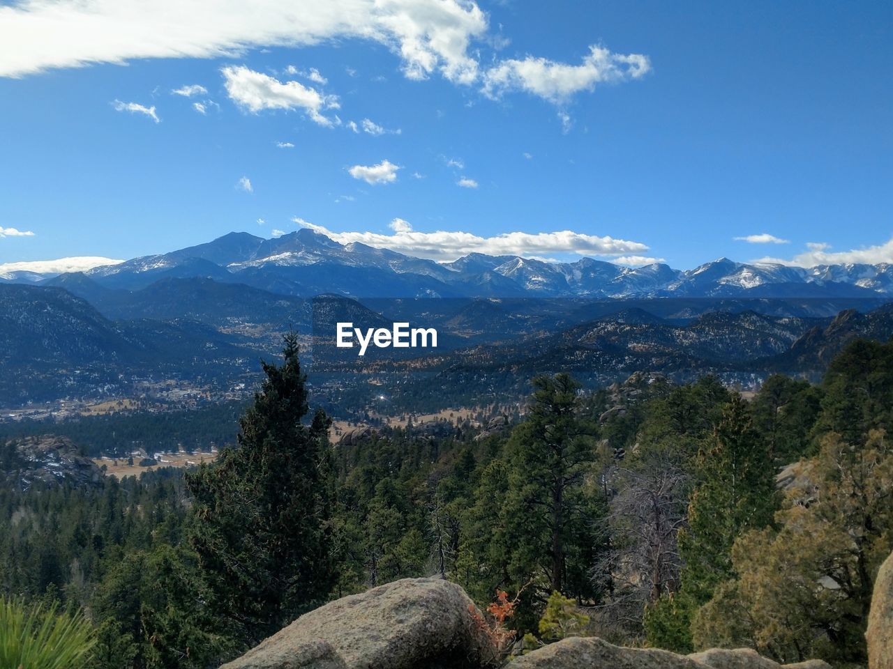 SCENIC VIEW OF TREES AGAINST SKY