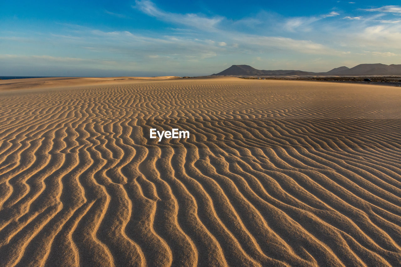 Scenic view of desert against sky