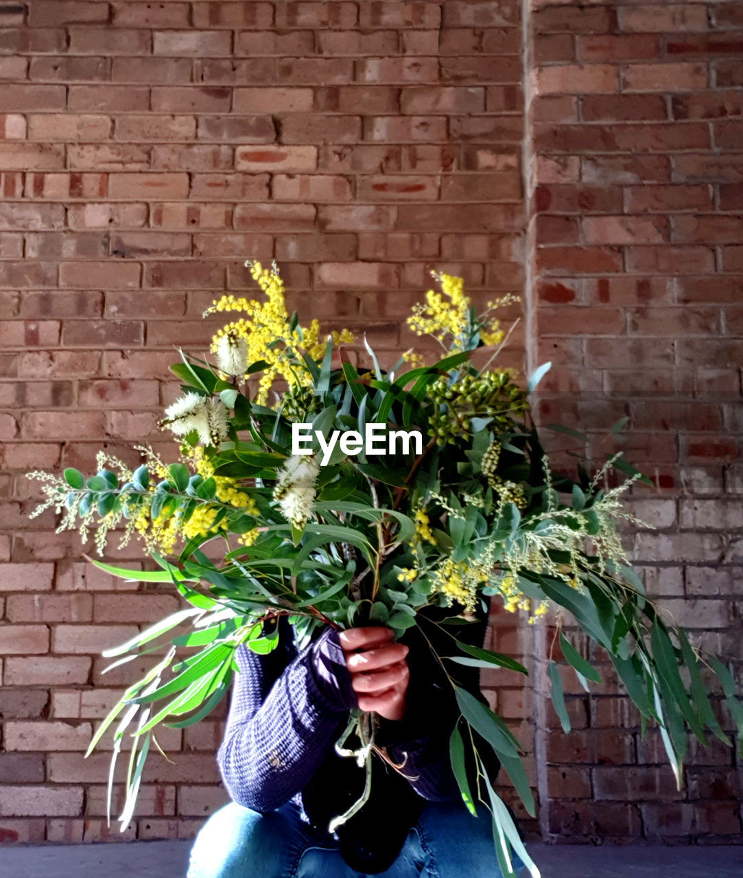 FLOWERS ON WALL AGAINST BRICK WALLS